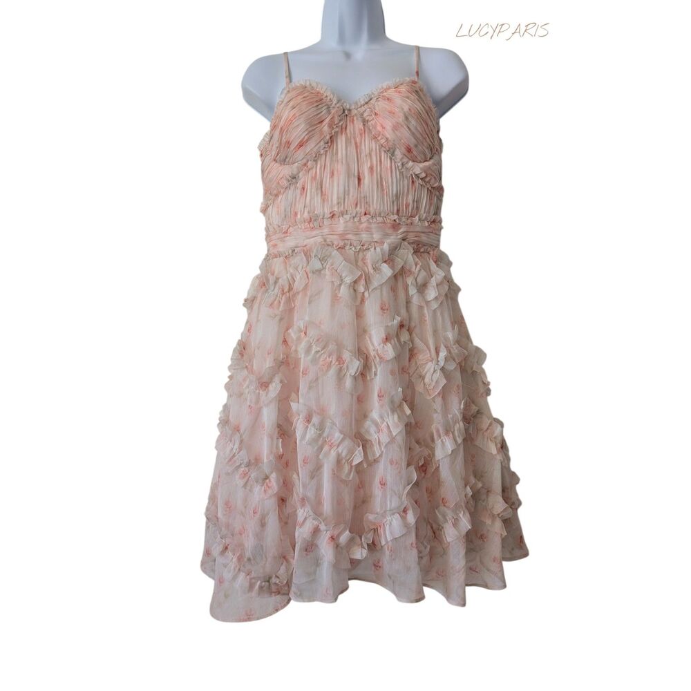 NWT Lucy Paris A La Rose "LILIAN"Pink Floral Ruffle Chiffon Mini Dress